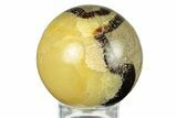 Polished Septarian Sphere - Madagascar #260038-1